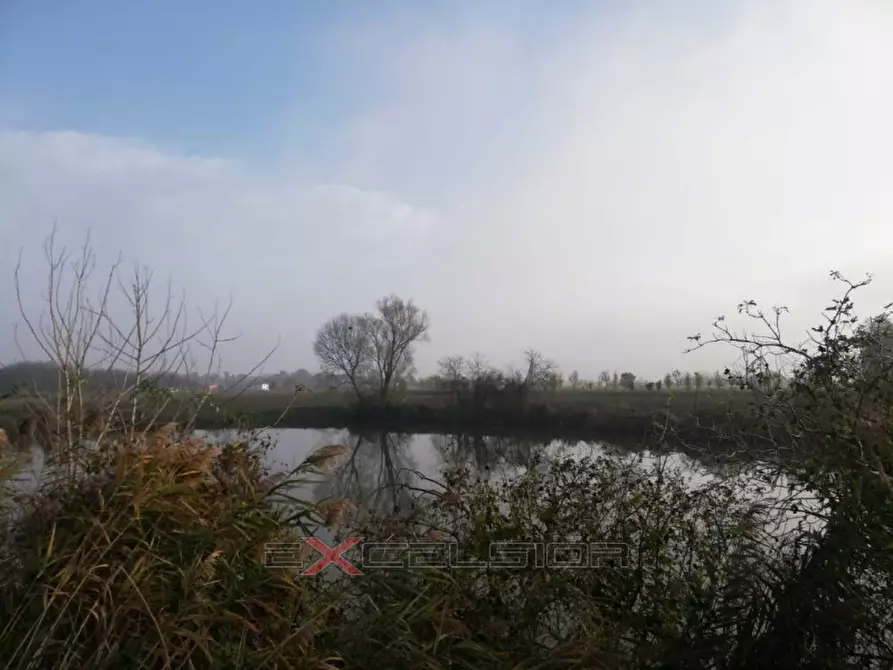 Immagine 2 di Terreno in vendita  in Via G. Matteotti n. 20 - Cavarzere a Pettorazza Grimani