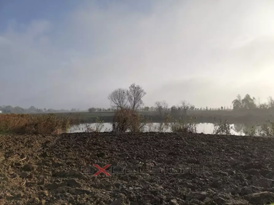 Immagine 3 di Terreno in vendita  in Via G. Matteotti n. 20 - Cavarzere a Pettorazza Grimani