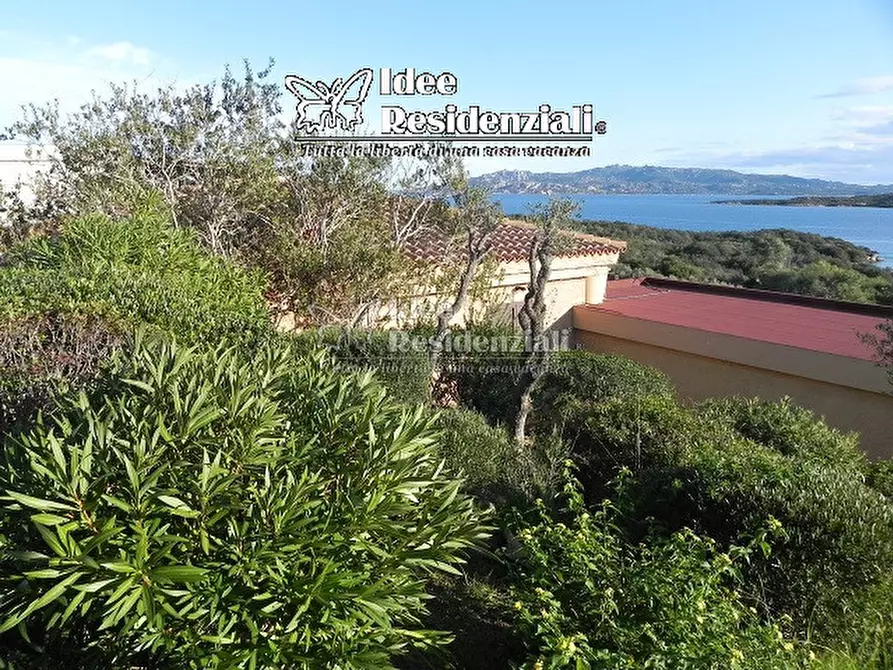 Immagine 5 di Villa in vendita  in via poltu mannu a Palau