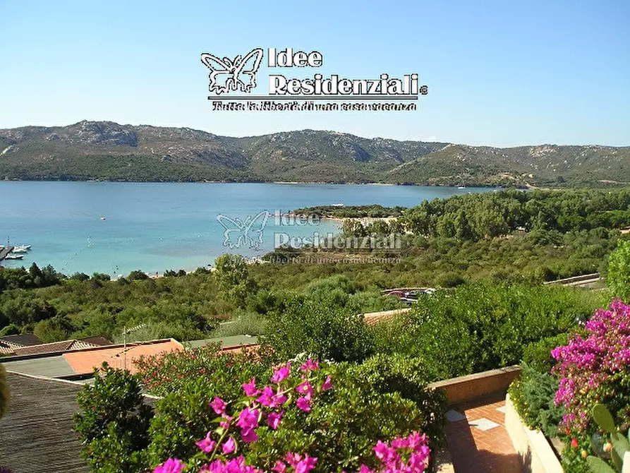 Immagine 9 di Villa in vendita  in via poltu mannu a Palau