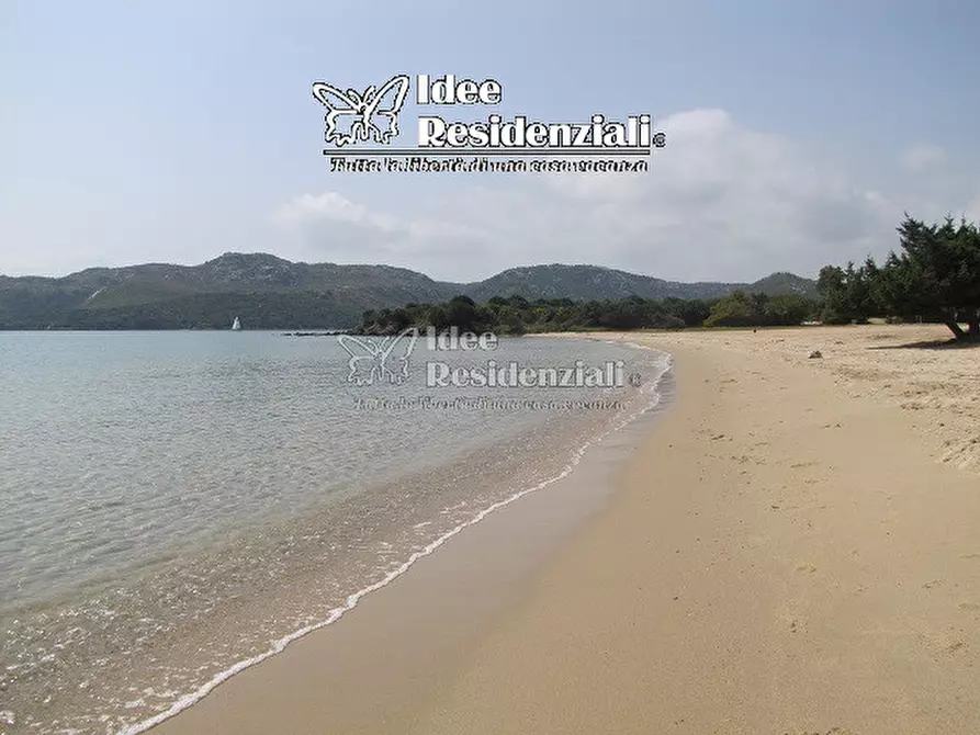 Immagine 17 di Villa in vendita  in via poltu mannu a Palau