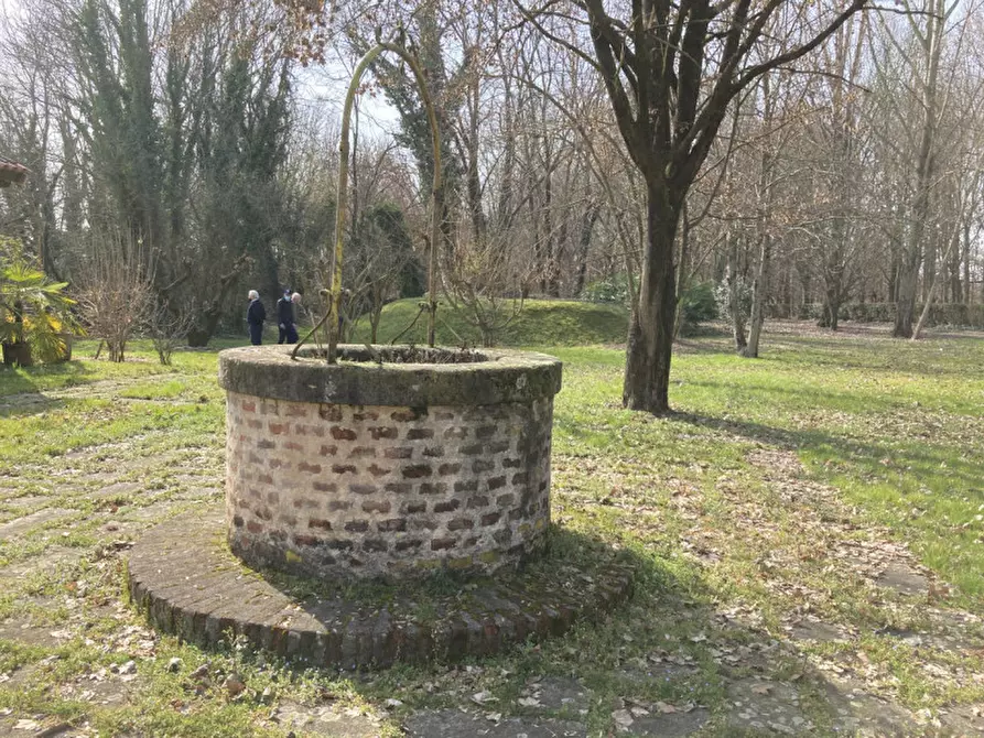 Immagine 44 di Villa in vendita  a Loreggia