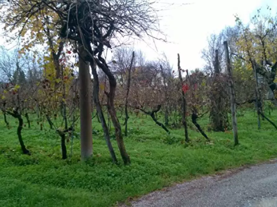 Immagine 6 di Rustico / casale in vendita  in Via C. Lenardon 27 a Vivaro