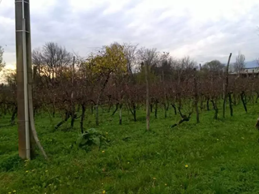 Immagine 7 di Rustico / casale in vendita  in Via C. Lenardon 27 a Vivaro