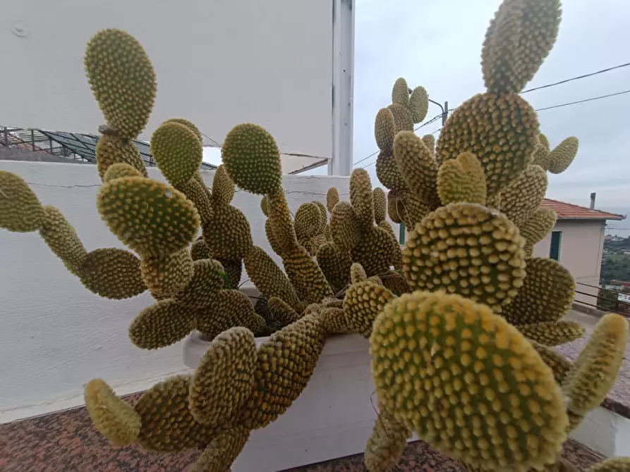 Immagine 26 di Villa in vendita  in Via Gabriele D'Annunzio a San Remo