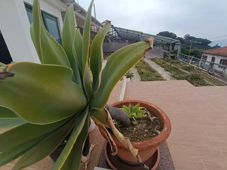 Immagine 27 di Villa in vendita  in Via Gabriele D'Annunzio a San Remo