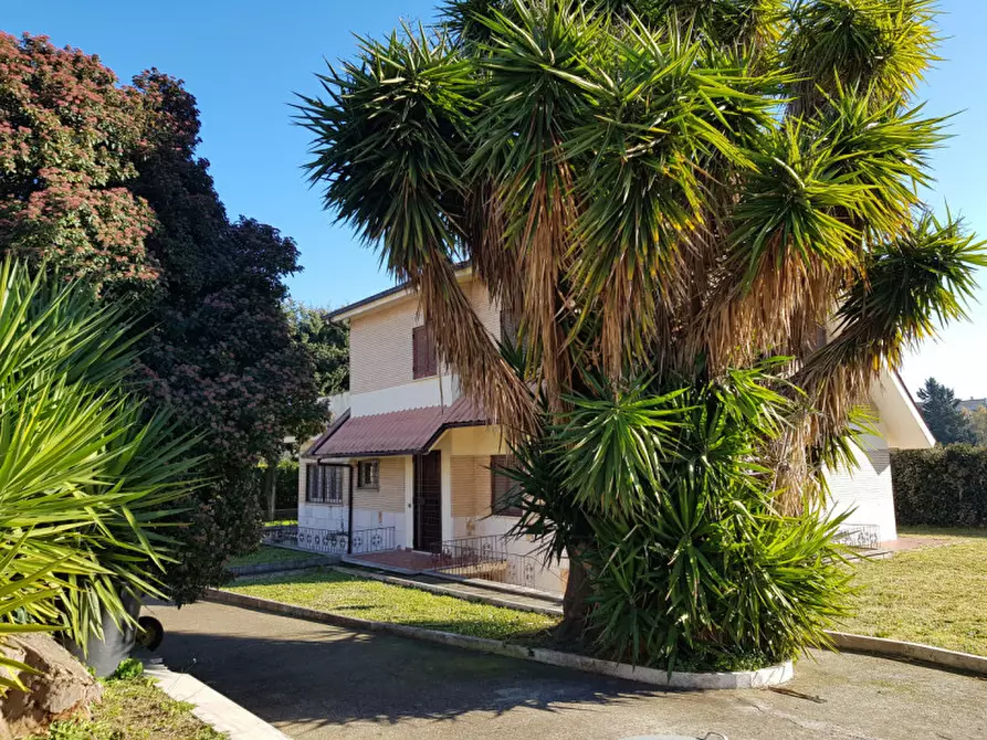 Immagine 3 di Villa in affitto  in via Murello a Roma