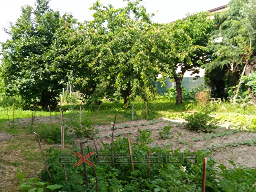 Immagine 8 di Casa indipendente in vendita  in Via G. Matteotti n.20 bis - Cavarzere a Cona