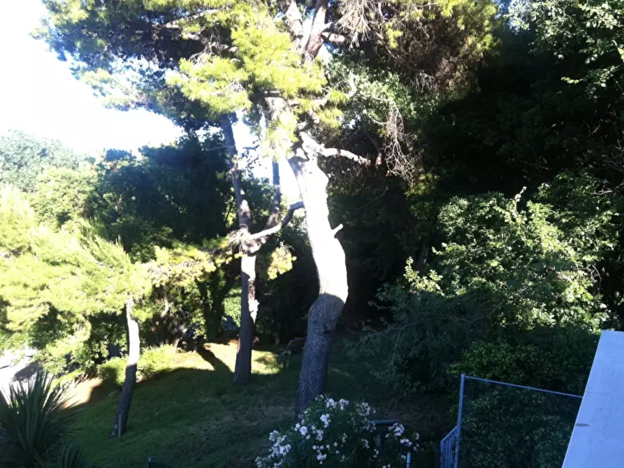 Immagine 16 di Attico in affitto  in Via Thaon De Revel a Ancona