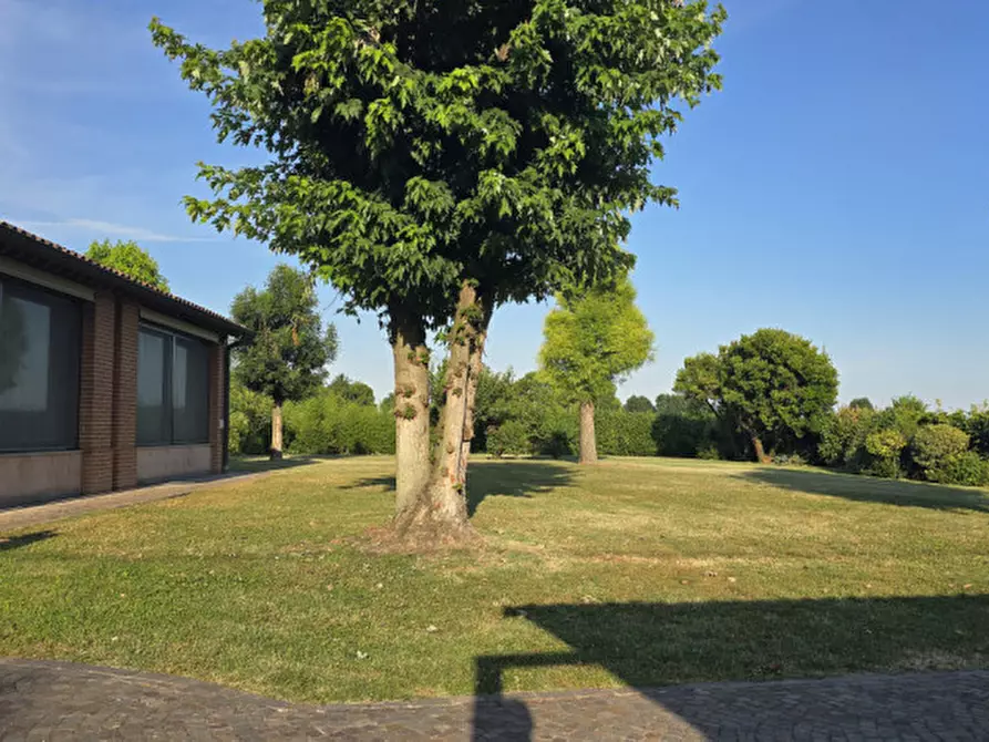Immagine 49 di Villa in vendita  in Via Padana a Este