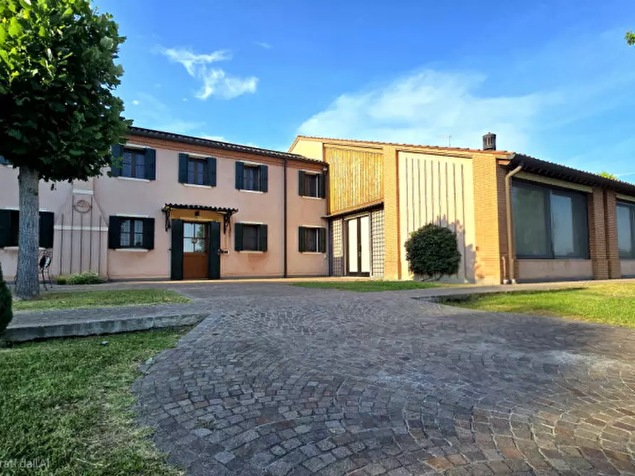 Immagine 50 di Villa in vendita  in Via Padana a Este