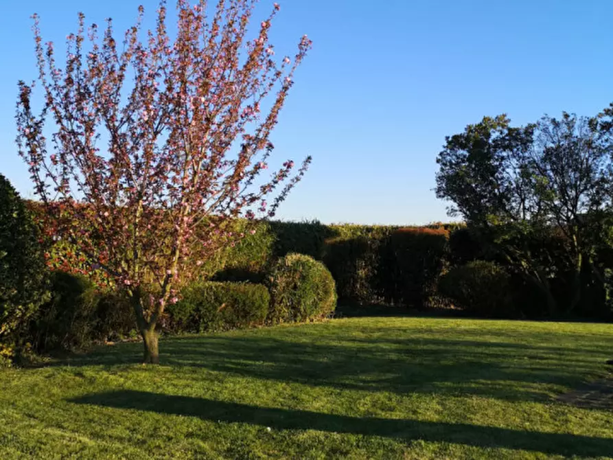 Immagine 39 di Villa in vendita  in Via Padana a Este