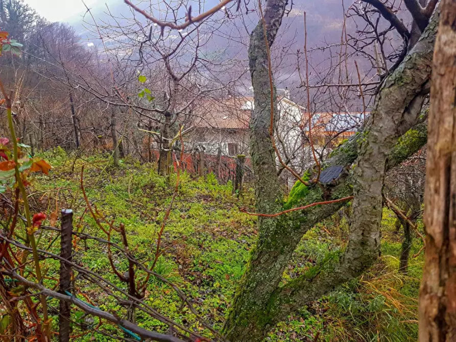 Immagine 7 di Appartamento in vendita  in via Valdara 33 a Apecchio