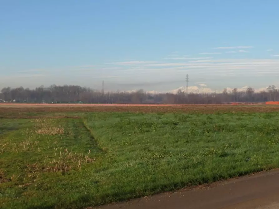 Immagine 2 di Terreno in vendita  in Via Peagna n.9 a Ospedaletto Euganeo