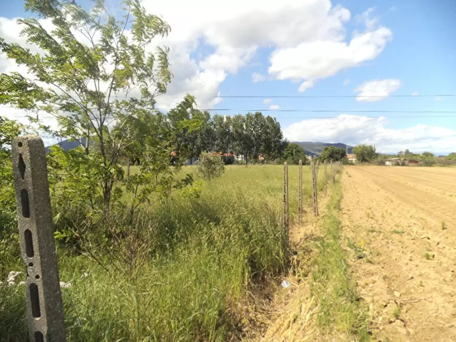 Immagine 3 di Terreno in vendita  in Via Peagna n.9 a Ospedaletto Euganeo