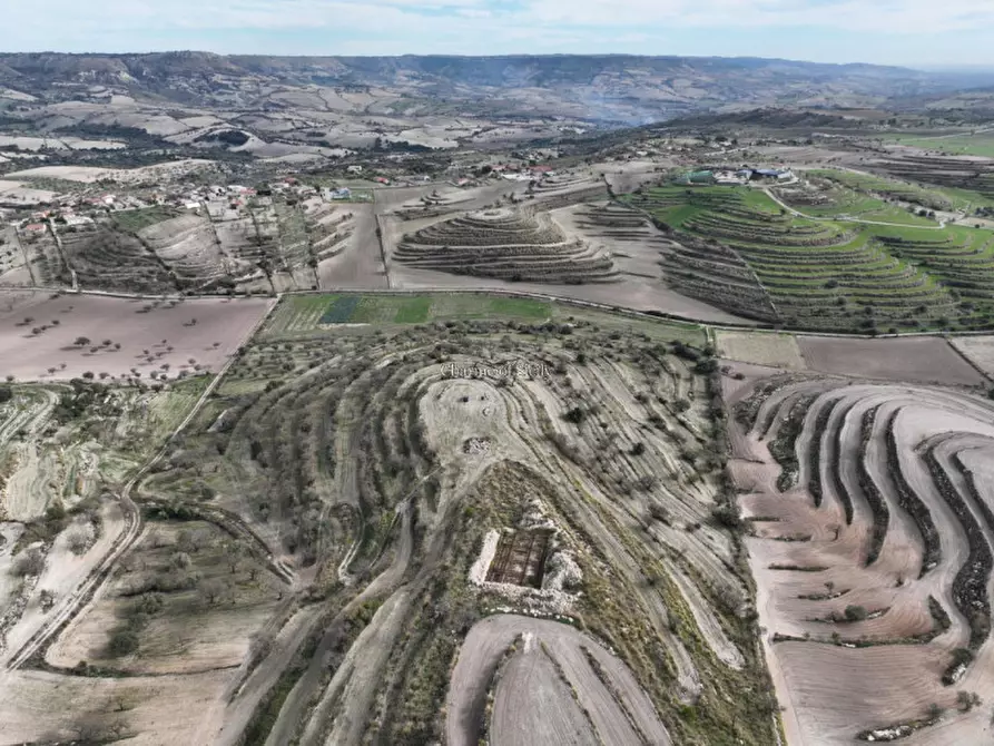 Immagine 2 di Terreno in vendita  in c.da mandrevecchie a Giarratana