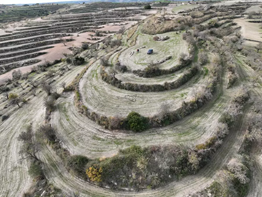Immagine 5 di Terreno in vendita  in c.da mandrevecchie a Giarratana