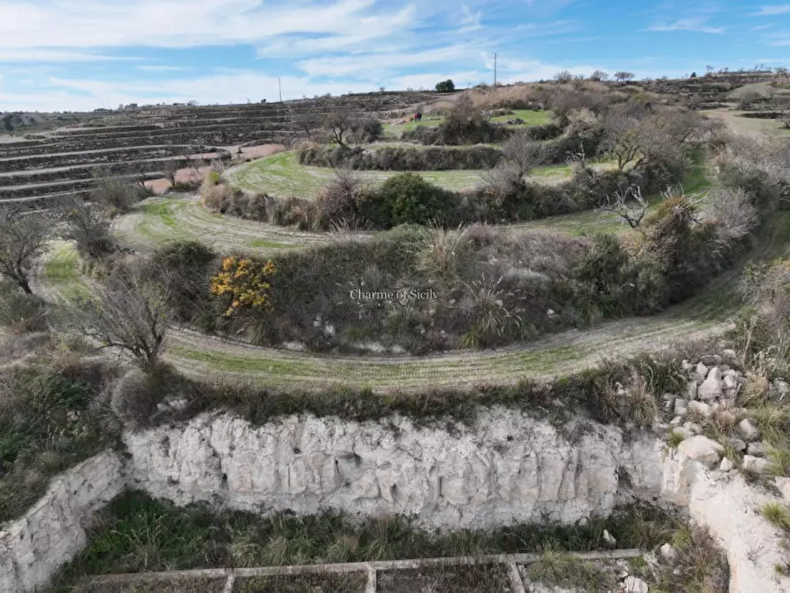 Immagine 7 di Terreno in vendita  in c.da mandrevecchie a Giarratana