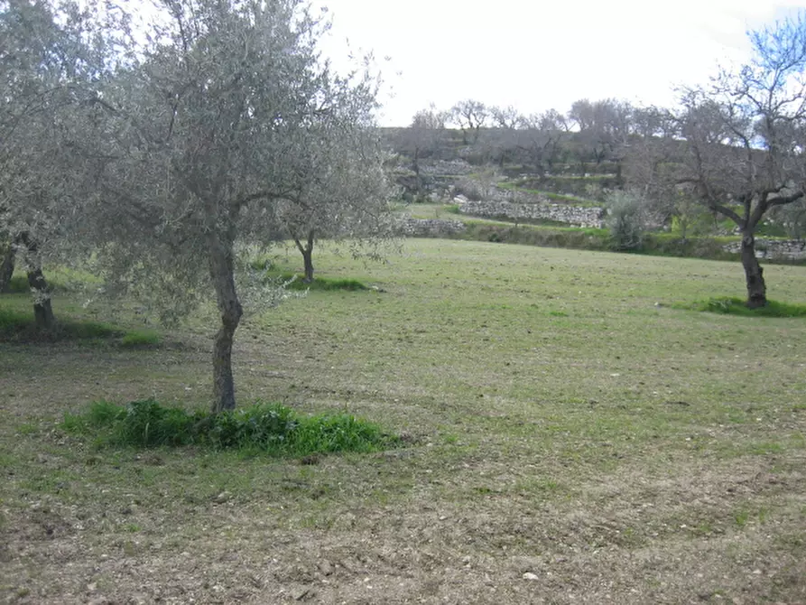 Immagine 11 di Terreno in vendita  in c.da mandrevecchie a Giarratana