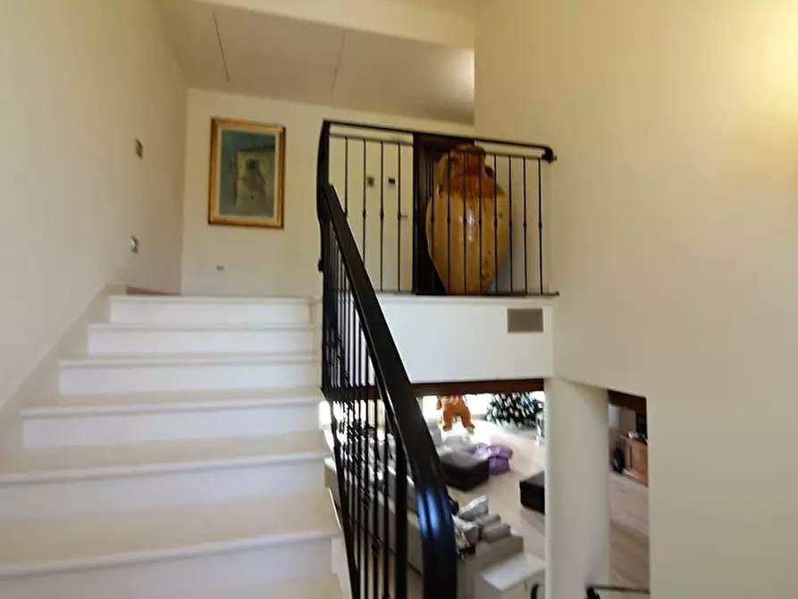 Immagine 19 di Villa in vendita  in via Pelosa a Veggiano