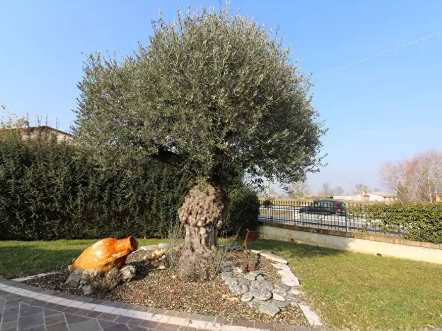 Immagine 50 di Villa in vendita  in via Pelosa a Veggiano
