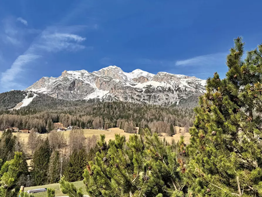 Immagine 4 di Appartamento in vendita  in località Majon a Cortina D'ampezzo