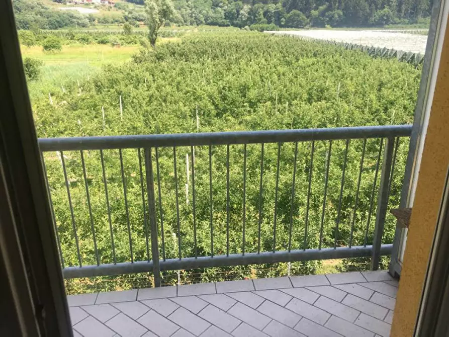 Immagine 5 di Appartamento in vendita  in Via al lago a Pergine Valsugana