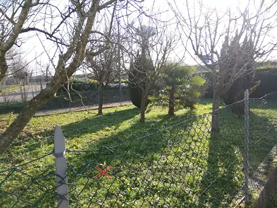 Immagine 3 di Casa bifamiliare in vendita  in Via G. Matteotti n. 20 BIS - Cavarzere a Cavarzere