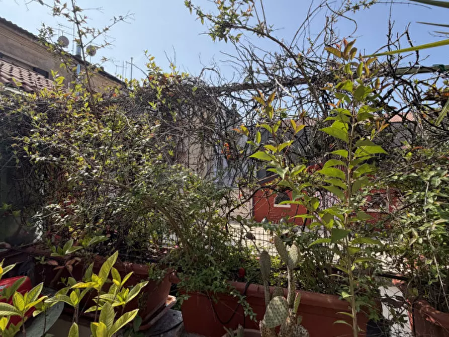 Immagine 26 di Appartamento in vendita  in Prato della Valle a Padova