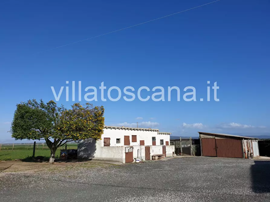 Immagine 2 di Rustico / casale in vendita  a Castiglione Della Pescaia