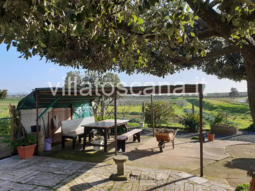 Immagine 5 di Rustico / casale in vendita  a Castiglione Della Pescaia