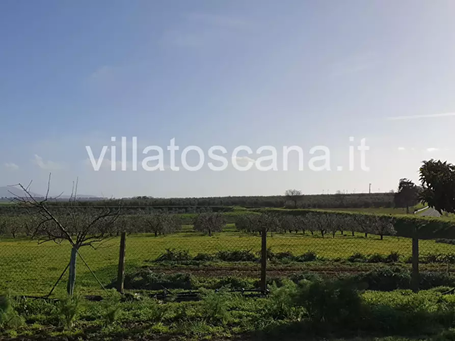 Immagine 8 di Rustico / casale in vendita  a Castiglione Della Pescaia