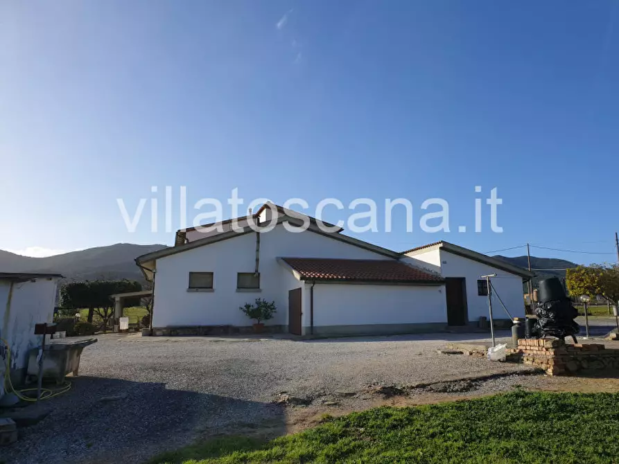 Immagine 9 di Rustico / casale in vendita  a Castiglione Della Pescaia