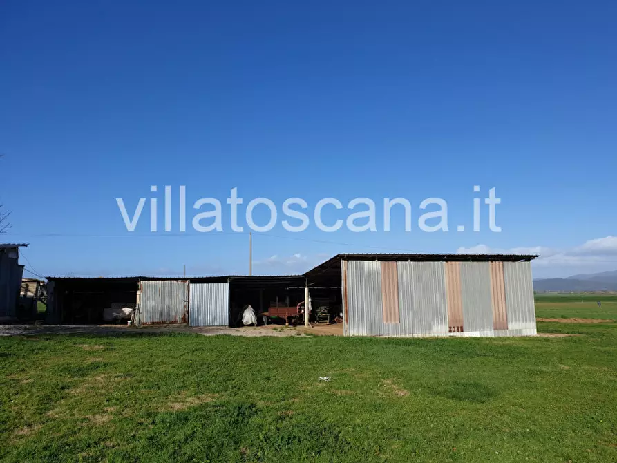 Immagine 10 di Rustico / casale in vendita  a Castiglione Della Pescaia