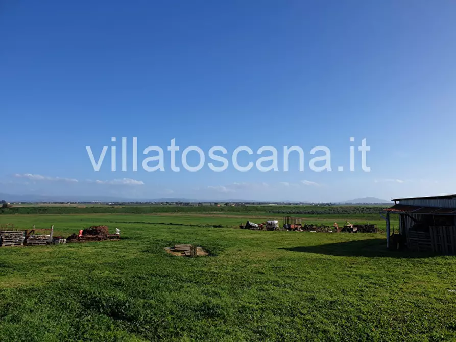 Immagine 11 di Rustico / casale in vendita  a Castiglione Della Pescaia