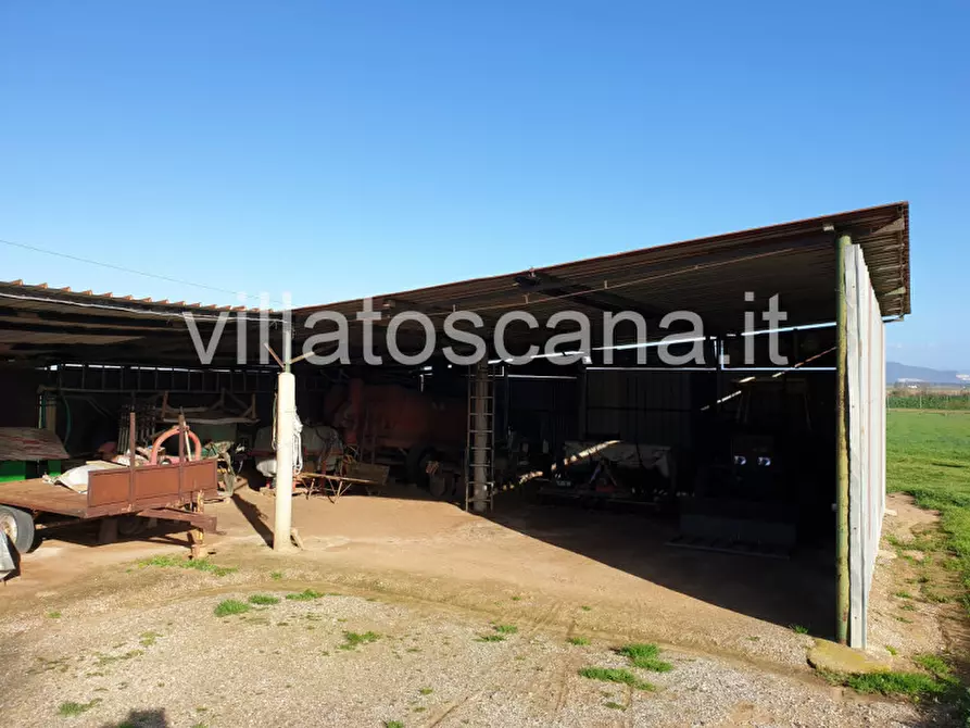 Immagine 12 di Rustico / casale in vendita  a Castiglione Della Pescaia