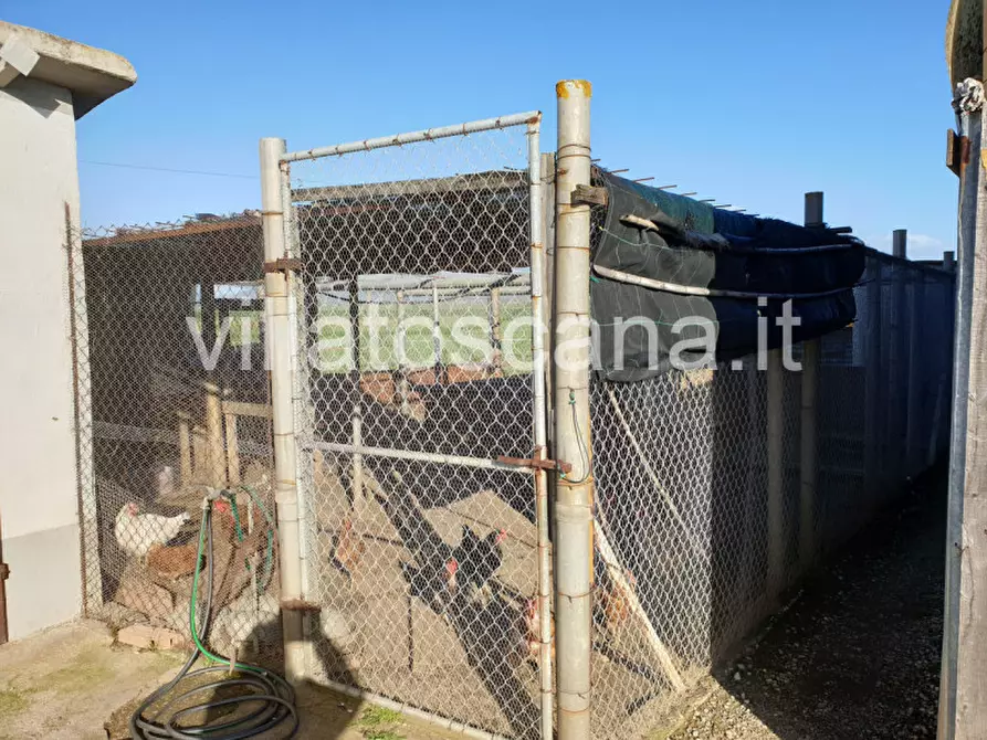 Immagine 14 di Rustico / casale in vendita  a Castiglione Della Pescaia