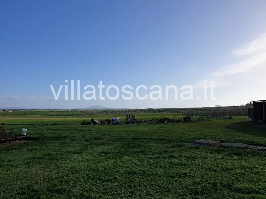 Immagine 15 di Rustico / casale in vendita  a Castiglione Della Pescaia