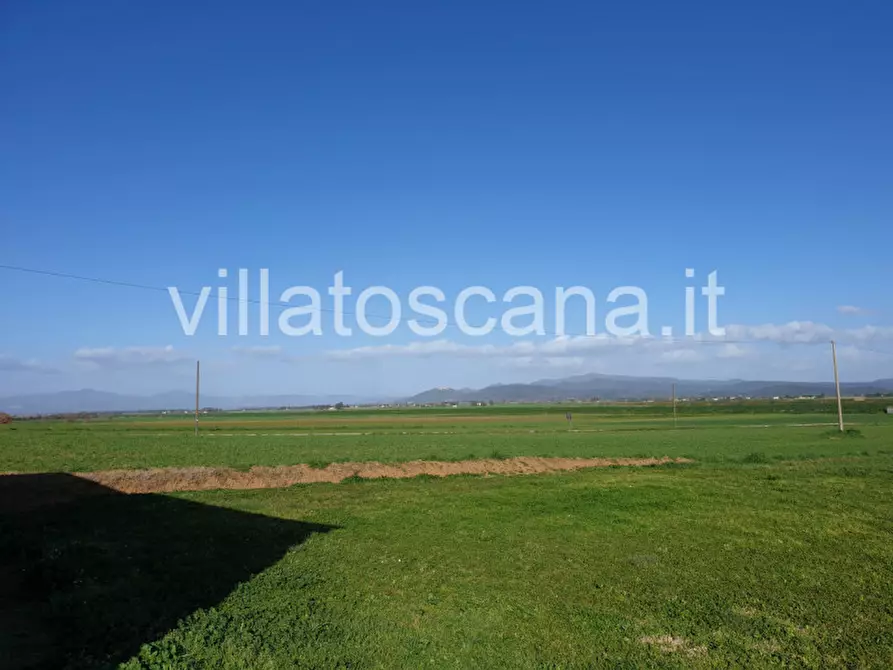 Immagine 16 di Rustico / casale in vendita  a Castiglione Della Pescaia