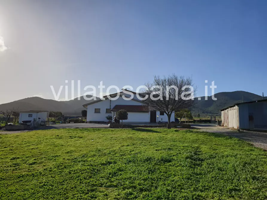 Immagine 17 di Rustico / casale in vendita  a Castiglione Della Pescaia