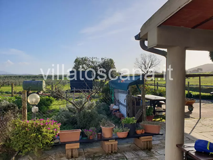 Immagine 19 di Rustico / casale in vendita  a Castiglione Della Pescaia