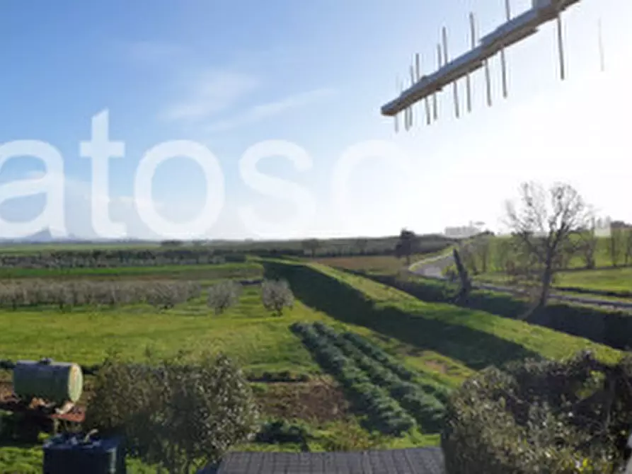 Immagine 33 di Rustico / casale in vendita  a Castiglione Della Pescaia