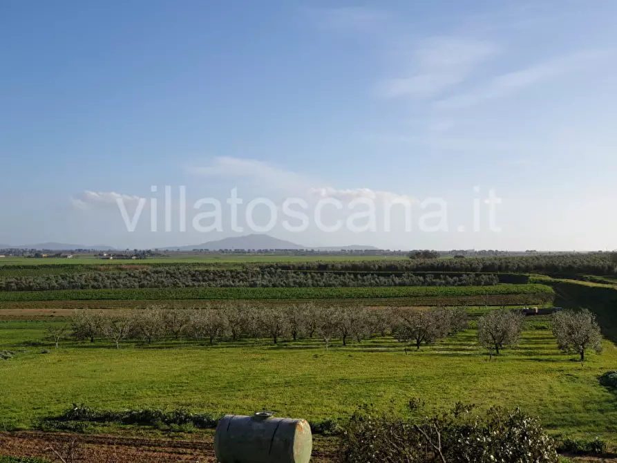 Immagine 37 di Rustico / casale in vendita  a Castiglione Della Pescaia