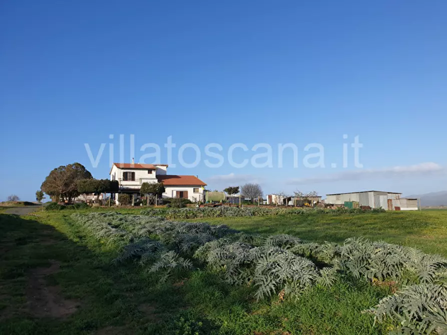 Immagine 42 di Rustico / casale in vendita  a Castiglione Della Pescaia