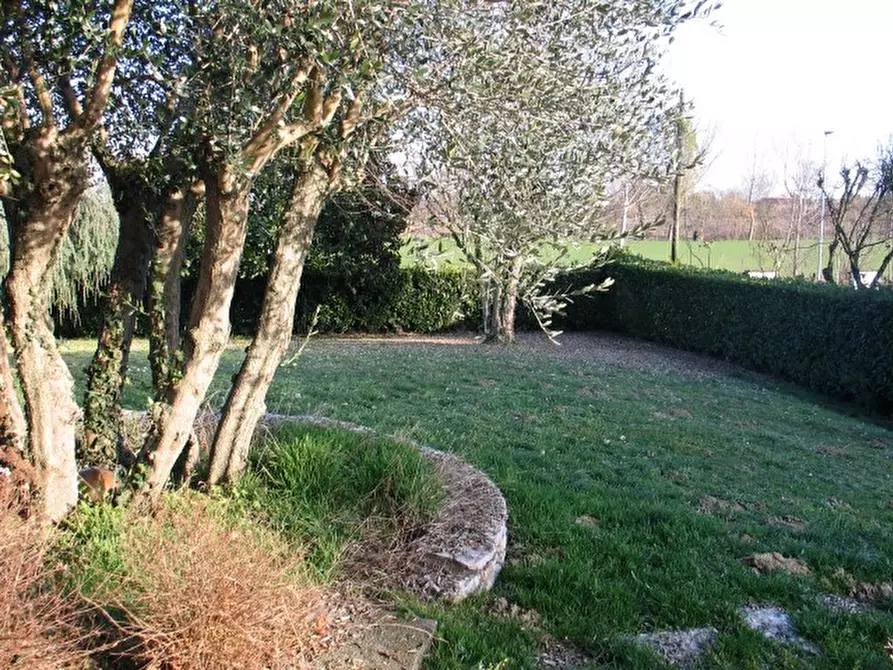 Immagine 23 di Casa indipendente in vendita  a Santa Maria Di Sala