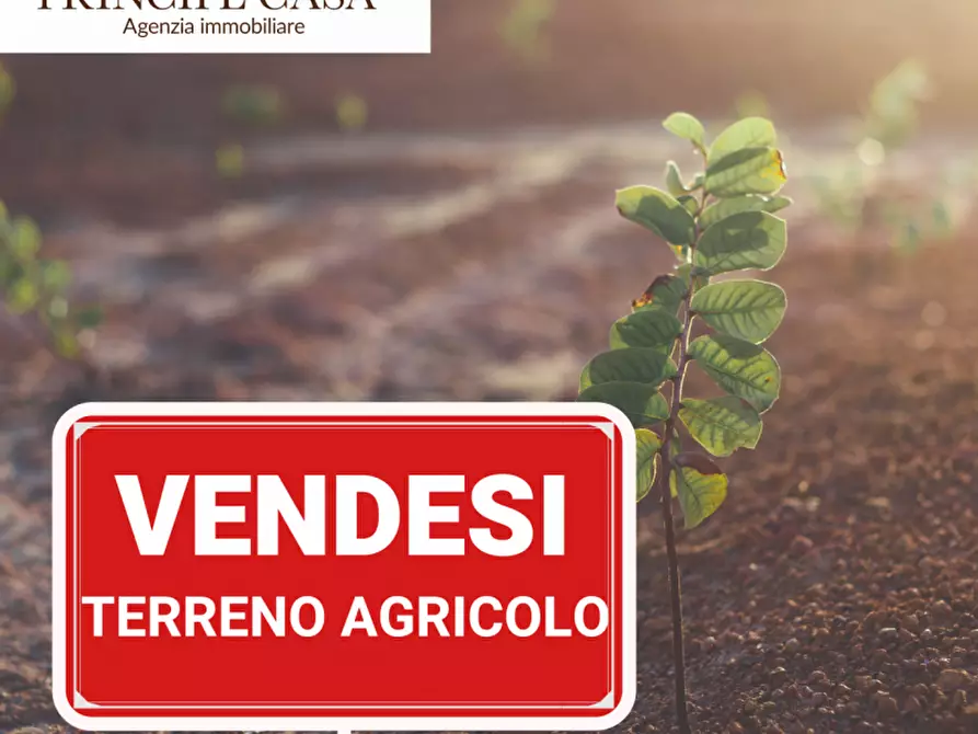 Immagine 3 di Terreno in vendita  in via Roma a Borgo Veneto