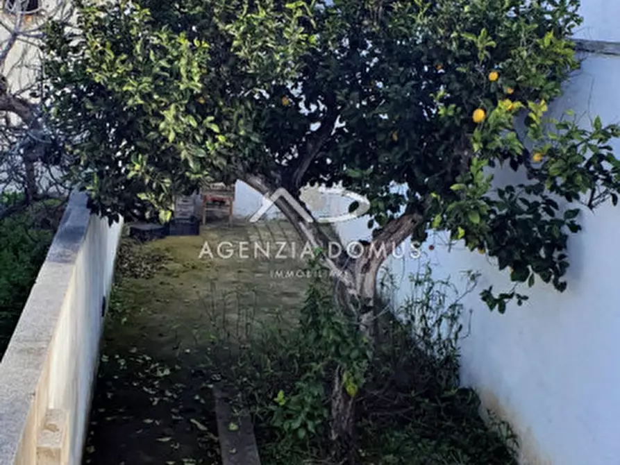 Immagine 16 di Casa indipendente in vendita  in via Felline 22 a Racale