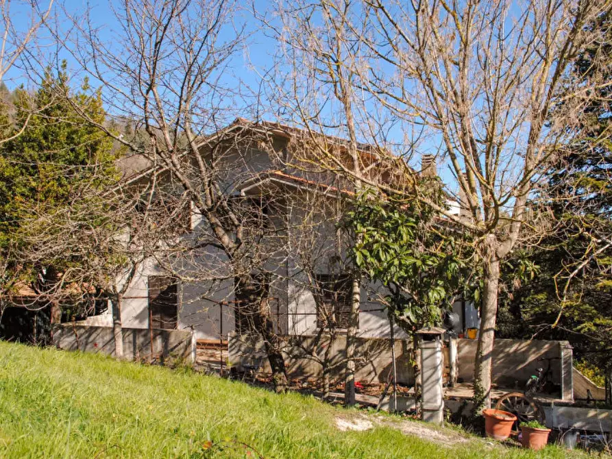 Immagine 3 di Casa indipendente in vendita  in via Piero Stellacci 3 a Fossombrone