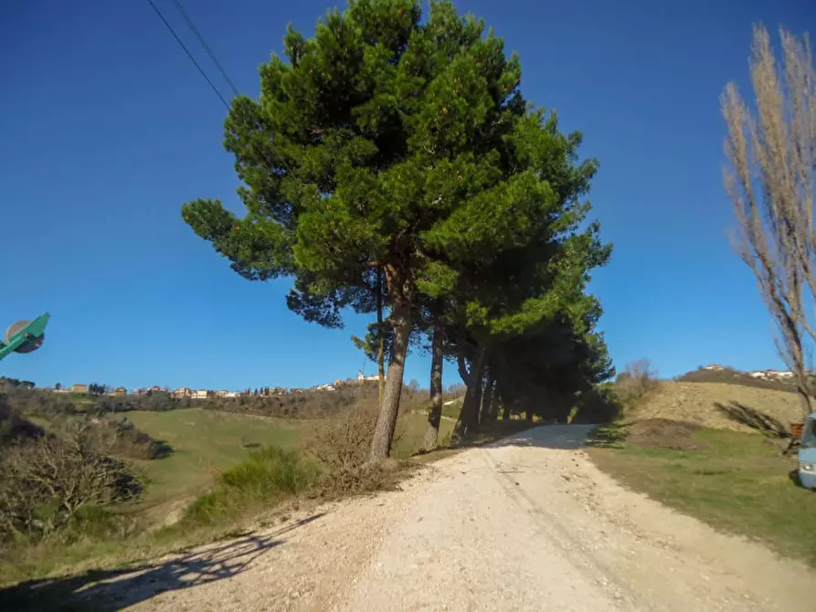 Immagine 6 di Rustico / casale in vendita  in via Ognisanti a Urbino