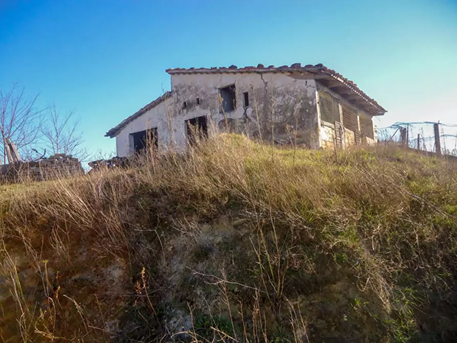 Immagine 7 di Rustico / casale in vendita  in via Ognisanti a Urbino
